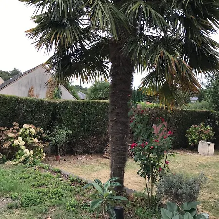 לינה וארוחת בוקר D'hotes Chez Christiane
