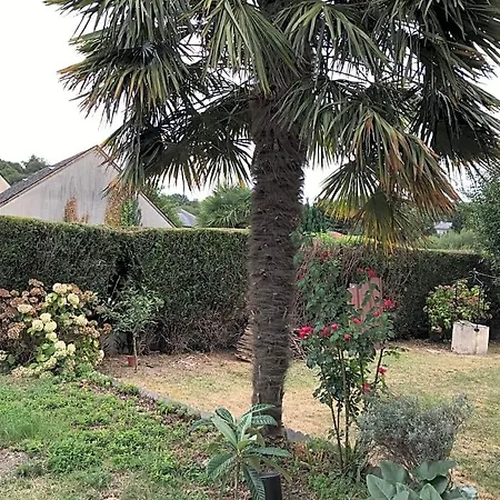 Bed & Breakfast D'hotes Chez Christiane *