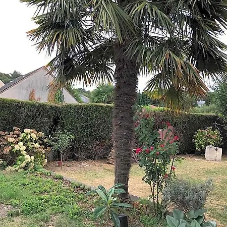 Bed & Breakfast D'hotes Chez Christiane